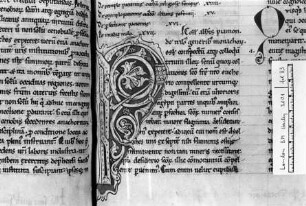 Buchseite mit Rankeninitiale P, Folio 83 recto