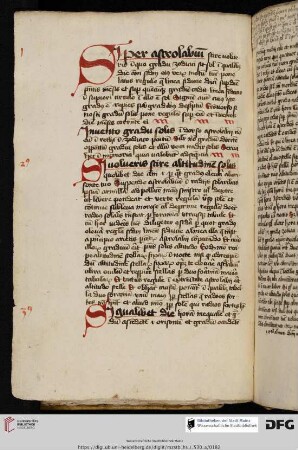 Prosdocimus de Beldemandis oder Christianus de Prachaticz(?), Compositio et operatio astrolabii