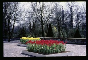 Tiergarten 26.4.69.