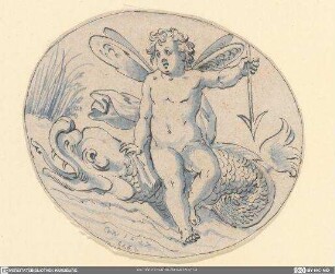 Putto mit Pfeil (Amor?) auf einem Fisch