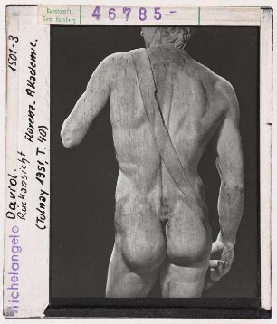 Michelangelo: David, Rückansicht. Florenz, Akademie
