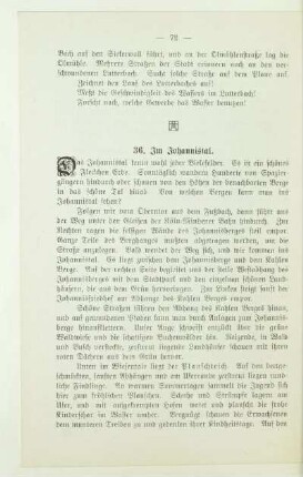 36. Im Johannistal