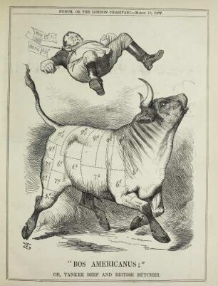 "Bos Americanus;" or, Yankee beef and British butcher