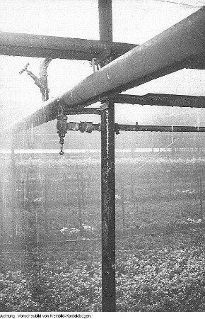 VEB Gartenbau, März 1954