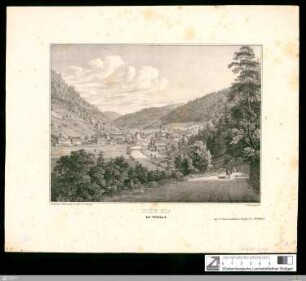 Höfen bei Wildbad