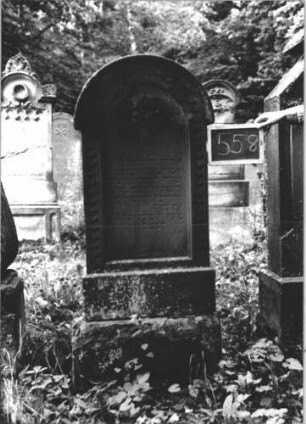 Grabstein 558 (Index: 99895420) Material: Sandstein Zustand: gut, Sockel stärker bewachsen Maße HxBxT: 154x55x20 cm Beschreibung: Stele mit Rundbogenabschluss und kleiner Verdachung; Sockel Symbolik: Blüte: Grabstein 558 (1)