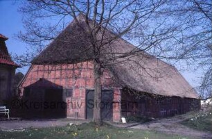 Blumendorf: Gut: Jungviehstall mit Reetdach: Ansicht von Westen