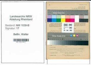 Entnazifizierung Walter Bellin , geb. 28.10.1896 (Kaufmann)