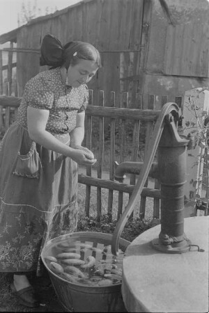 Agnes Donath aus Ralbitz, Kandidatin des Dorfparlaments des Kreises Kamenz. : Hańža Donatowa z Ralbic, kandidatka do Kamjenskeho wokrjesnjeho sejma (CDU), 1950