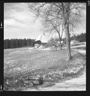 Schwarzwaldhof