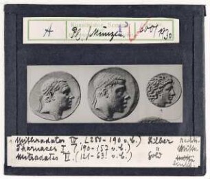 Münzen: Links: Mithridates VI., Mitte: Pharmaces I., Rechts: Mithridates IV.