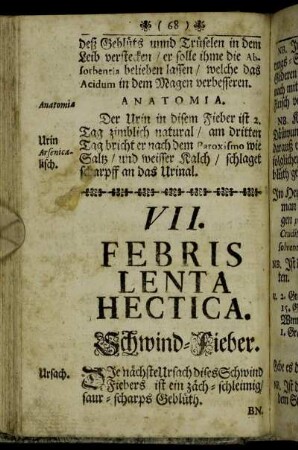 VII. Febris Lenta Hectica. Schwind-Fieber. - VIII. Hectica. Schwind-Sucht.