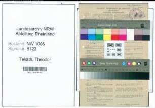 Entnazifizierung Theodor Tekath , geb. 02.12.1907 (Verwalter)