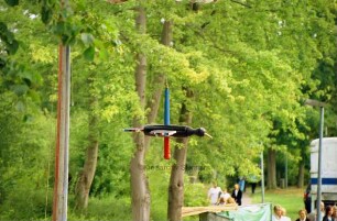 Kindervogelschießen: Vogel