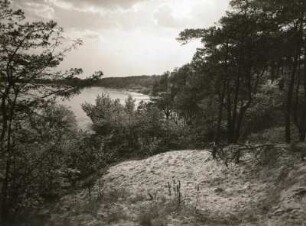 Fläming. Hochufer der Elbe zwischen Wittenberg und Coswig. Blick vom Steilufer stromab bei Hochwasser (im Hintergrund Auenwald)