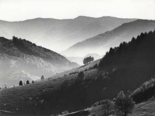 Blick vom Wiedener Eck nach Osten, Schwarzwald