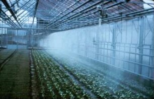 Fotografie: Gartenbautechnik-Gewächshaus, Bewässerung