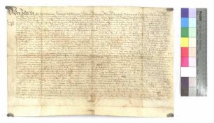Lehenbrief des Klosters Wiblingen über einen Hof zu Steinberg
