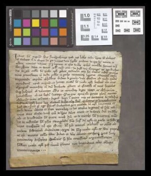 Mainz (St. Jakobsberg): Vidimus attestionis de 1114 super reliquiis St. Jacobi