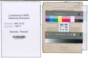 Entnazifizierung Theodor Stenzler , geb. 05.05.1907 (Vertreter)