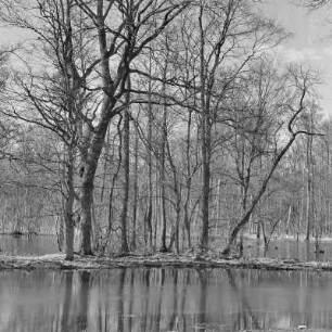 Spreewald um 1940. Überflutete Wiesen und Felder. : Błóta wokoło 1940. Přepławjene łuki a pola.