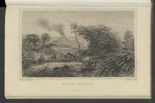 Volcan Jorullo.