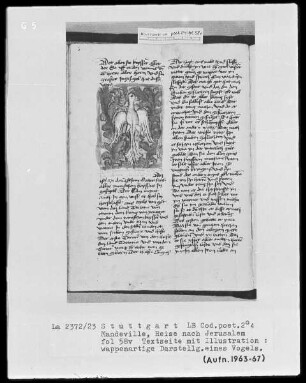 Jean de Mandeville, Reise nach Jerusalem — Vogel, Folio 58verso