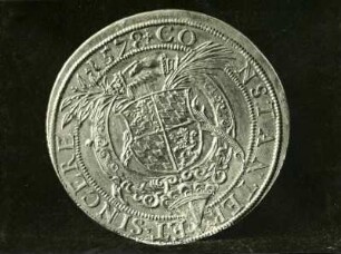Johann Casimir Taler 1578 Rückseite