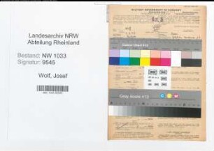 Entnazifizierung Josef Wolf , geb. 07.02.1920 (Polizeibeamter)