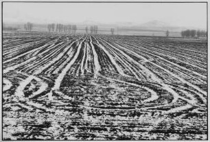 Dobrudscha. Feld im Winter