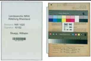 Entnazifizierung Wilhelm Stuepp , geb. 05.09.1892 (Schwimmeister)