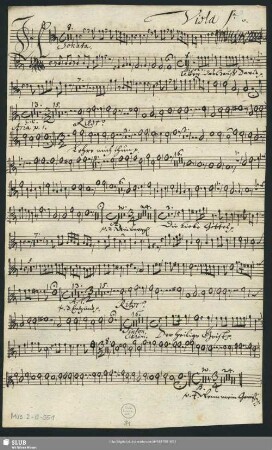 Viola 1[m]a