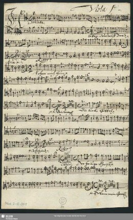 Viola 1[m]a