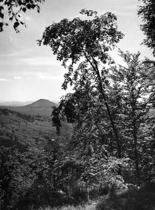 Pfälzer Wald lt. Heft 107 : Landschaftsausschnitt im Pfälzer Wald