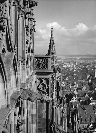 Wasserspeier : Wasserspeier. Stein (vor 1890) Ulm, Münster, Westturm