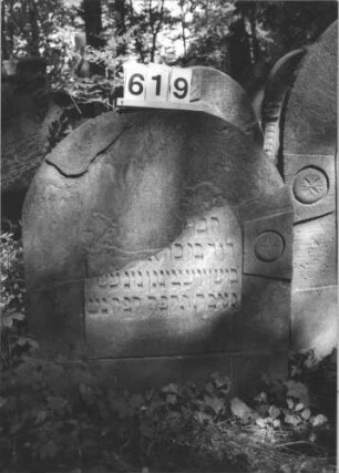 Grabstein 619