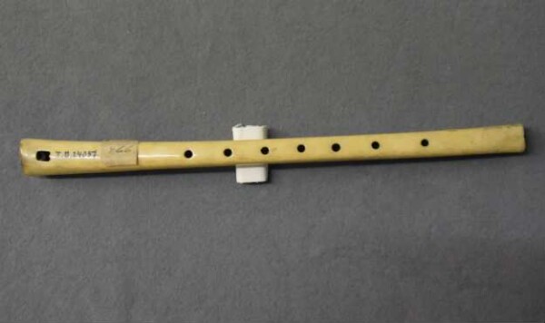 Tiger bone flute