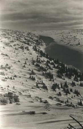 Riesengebirge (Krkonoše). Weißwassergrund (Tal der Bilé Labe). Blick talaufwärts