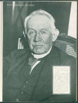 Don Gonzalo Bulnes