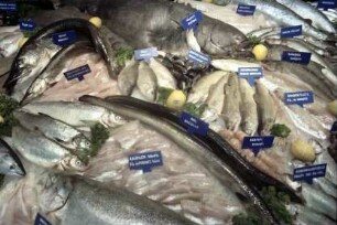 Basel: Fische