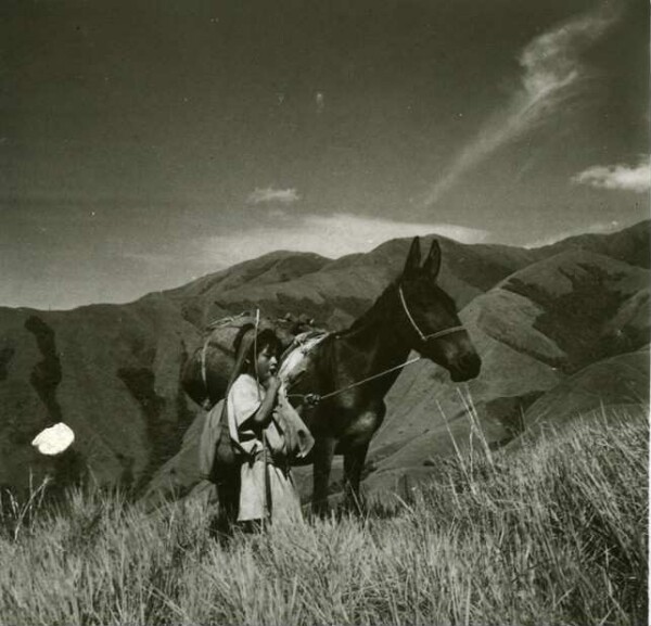 Indian boy on a journey. Templado.