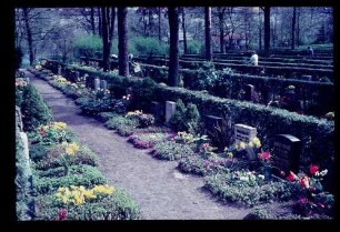 Friedhof Heerstr. 24.4.66.
