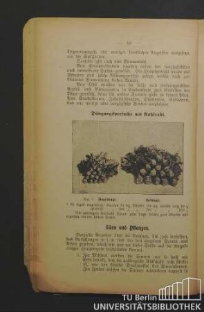 Säen und Pflanzen.