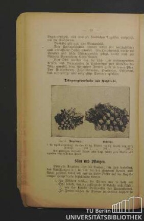 Säen und Pflanzen.