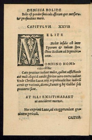 Capitulum XXVIII