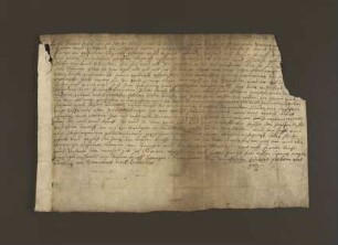 Regest Hoppe. 1557 Nov. 27. Landverkauf.