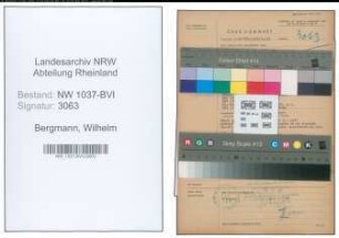 Entnazifizierung Wilhelm Bergmann , geb. 14.03.1899 (Einkaeufer)
