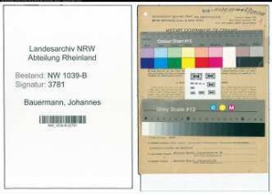 Entnazifizierung Johannes Bauermann , geb. 24.06.1900 (Staatsarchivdirektor)