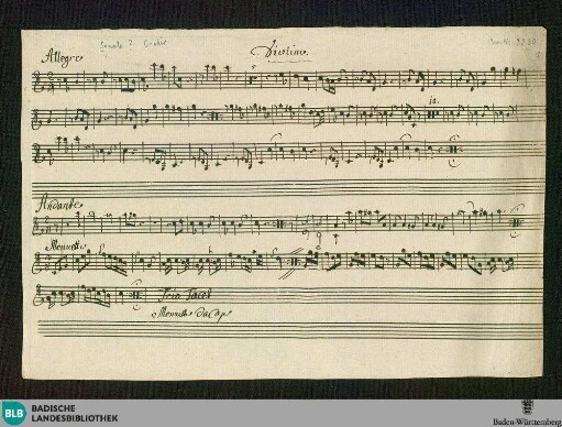 ?Sonatas? - Don Mus.Ms. 2220 : C