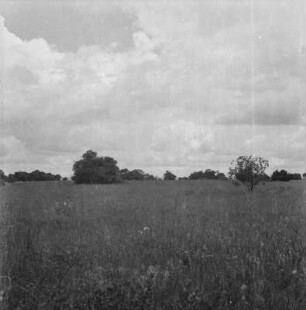 Savannenlandschaft : Blick über die Savannenlandschaft von Mufindi